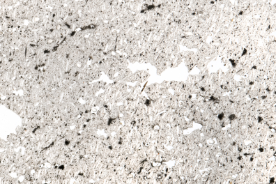 Andésite bulleuse LPNA x3